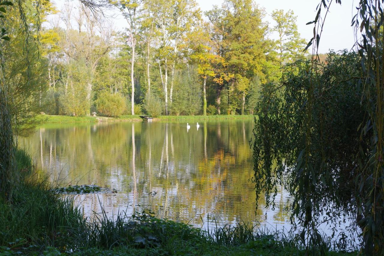 Bed and Breakfast Le Domaine De Prin Serzy-et-Prin Zewnętrze zdjęcie